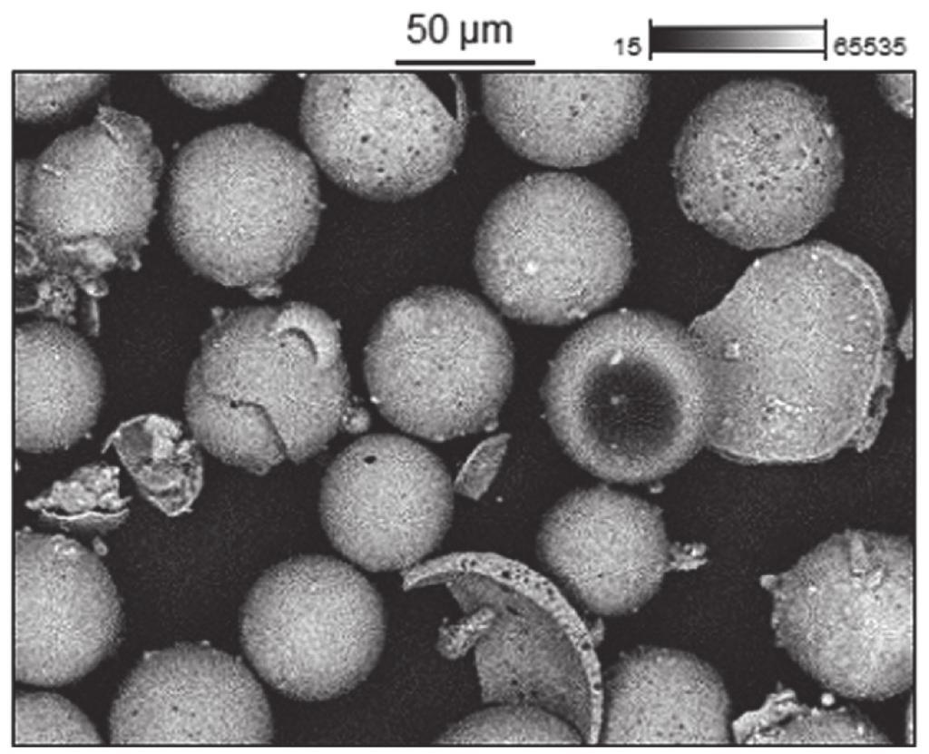 Plerosfera (Kazachstan). Światło odbite, 1N, pow. 200x Fig. 25. Plerosphere (Kazakhstan). Reflected light, 1N, magn.