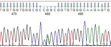 Technika sekwencjonowania metodą Sangera sekwencjonowanie pierwszej generacji odczyt sekwencji