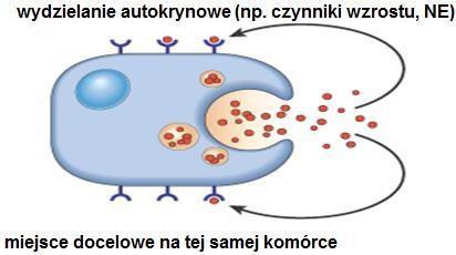 działają w