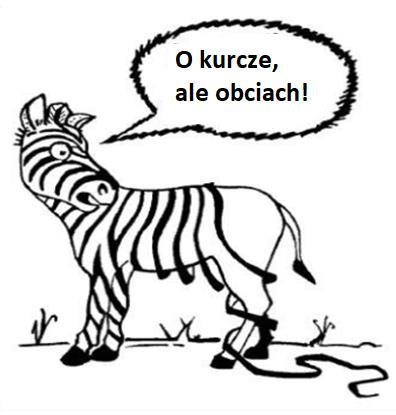 Sekwencja zdarzeń zaczynająca się bodźcem (STRESOR) uruchamiającym reakcję CUN (PERCEPCJA