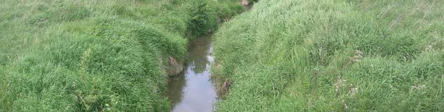 River Troja channel above Włodzienin reservoir 9,0 8,0 Natężenie