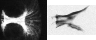 Marek Scholz Rys. 2.8. Zdjęcie z szybkiej kamery kadrowej zrobione wzdłuż osi z elektrod w czasie zbiegania warstwy prądowej do osi układu PF-1000 (IFPiLM). Obok widok elektrod.