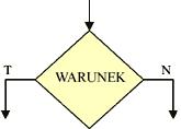 W skrzynce warunkowej umieszcza się warunek, który decyduje o wyborze dalszej drogi