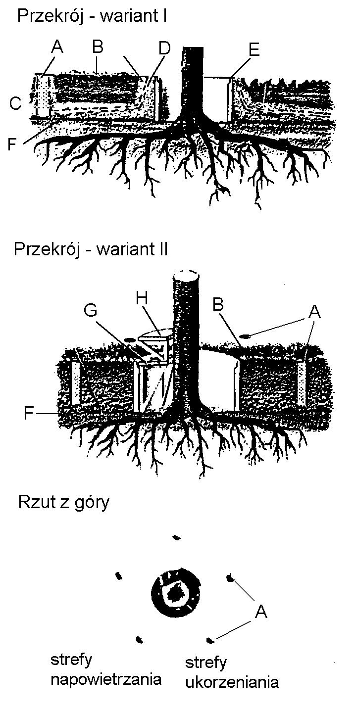 Studzienka zabezpieczająca pień drzewa przy podwyższeniu terenu powyżej 0,5 m (wg [10]) Objaśnienia: A szyb