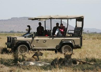 szczyt Ololokwe (dodatkowo płatna), Warriors Academy, wycieczki krajoznawcze i kulturoznawcze, wycieczki helikopterem (na żądanie i za dodatkową opłatą); obserwowanie ptaków i zwierząt; Samburu