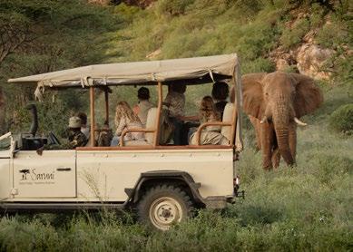 W asyście przewodnika i stosownego pojazdu można zdobyć Kilileoni najwyższy szczyt ekosystemu Mara-Serengeti. Warto odwiedzić masajski targ i poznać kulturę tubylców.