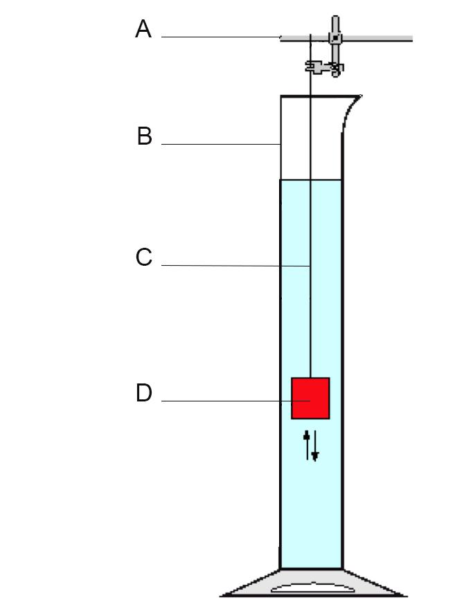 Science in School Wydanie 10: jesień 2017 2 Statyw lub stojak zaciskowy 2-3 m żyłki wędkarskiej 200 g modeliny 1 mały metalowy haczyk (taki, jakie znajdują się na ramkach na zdjęcia.