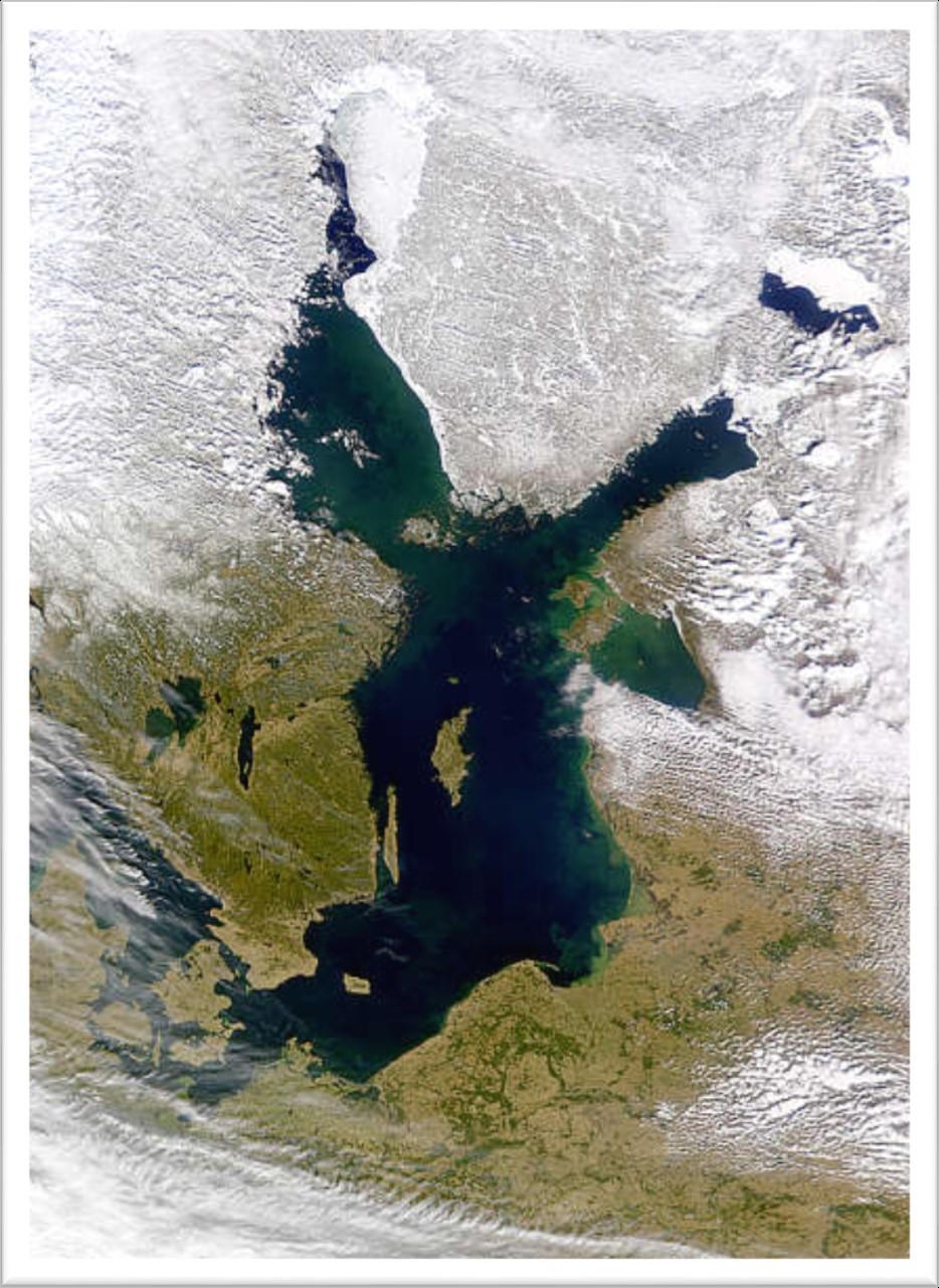 Morze Bałtyckie Powierzchnia 386 000 km², z rejonem przyujściowym 422 300 km² Średnia głębokość - 52 m Bałtyk jest typowym morzem śródziemnym, który pozostaje w łączności z wodami wszechoceanu przez