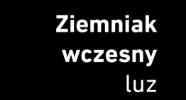 gałązka 500