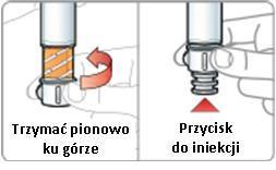 Trzymając pen pionowo ku górze, przekręcić pokrętło do zniknięcia pomarańczowej etykiety i zwolnienia przycisku do iniekcji.