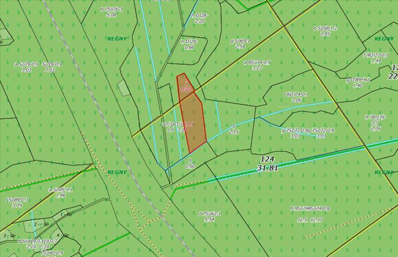 Dziennik Urzędowy Województwa Łódzkiego 3 Poz. 5655 Załącznik Nr 1 do Uchwały Nr XXVI/116/2016 Rady Miejskiej w Koluszkach z dnia 29 listopada 2016 r.