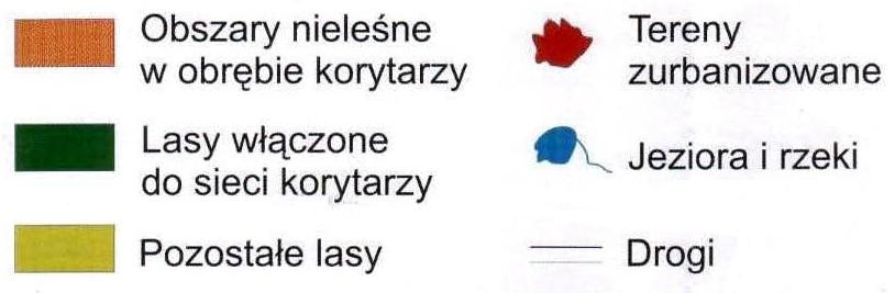 Przedmiotem ochrony są elementy przyrody ożywionej pojedyncze drzewa, grupy drzew lub aleje oraz nieożywionej głazy. Tab. 56. Pomniki przyrody zlokalizowane na terenie powiatu konińskiego Lp.