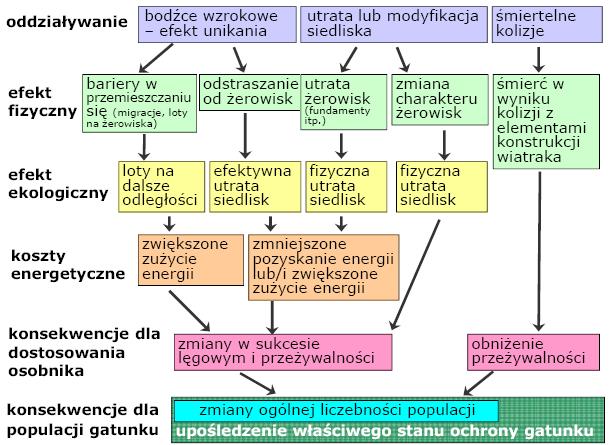obejmująca funkcjonowanie dróg jako barier w przemieszczaniu się zwierząt, spływach wód oraz rozprzestrzeniania się wybranych gatunków roślin.