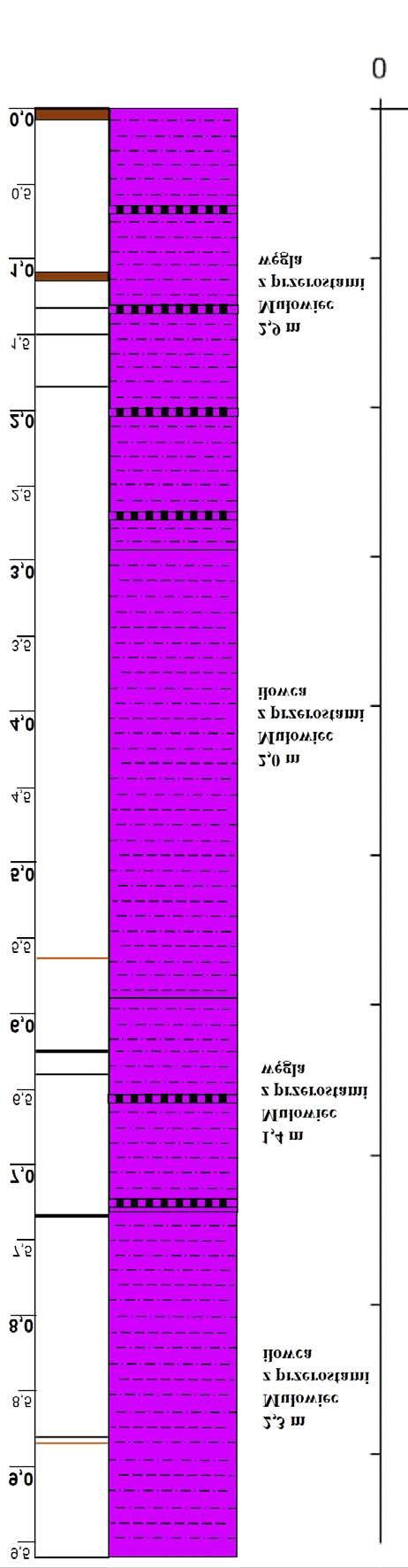 endoskopowych