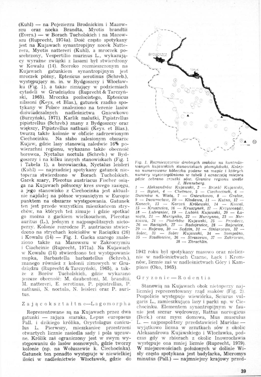 (Kuhl) na Pojezierzu Brodnickim i Mazowszu oraz nocka Brandta, Mvotis brandtii (Evers.) w Borach Tucholskich i na Mazowszu (Ruprecht, 1974a).