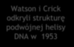 Crick odkryli strukturę podwójnej helisy DNA w 953 Ale, jeśli T4 jest zmutowane (ważna część genu jest skasowana), to wirus traci moc zabijania bakterii.