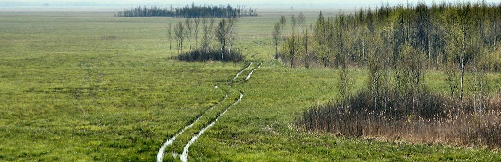 Przygotowanie planów zadań ochronnych