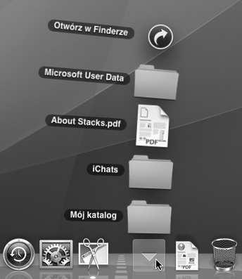 R o z d z i a 5. Korzystanie z Docka 95 1. W lewej cz ci Docka odszukaj skrót do katalogu, którego zawarto chcesz zobaczy. 2.