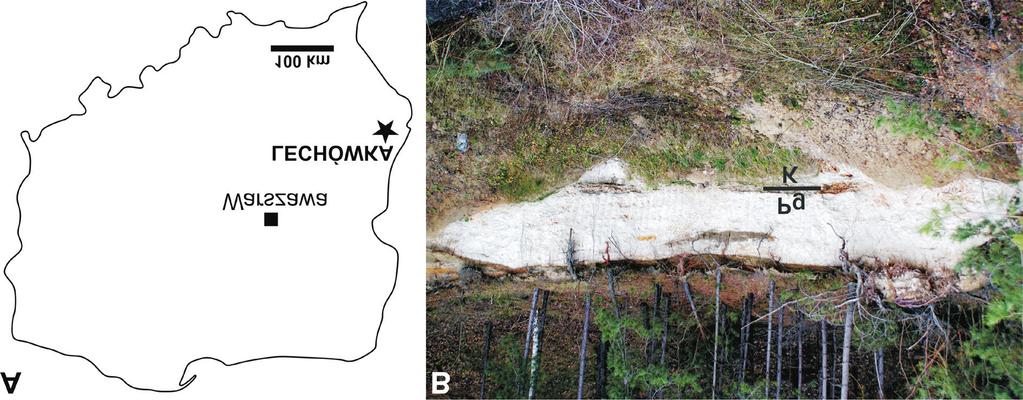 18 Sferule z granicy Kreda-Paleogen (Lechówka, Polska) wstępne dane rule s¹ produktami stopnienia ziemskich ska³ zasobnych w krzemionkê na skutek spadku du ego cia³a kosmicznego.