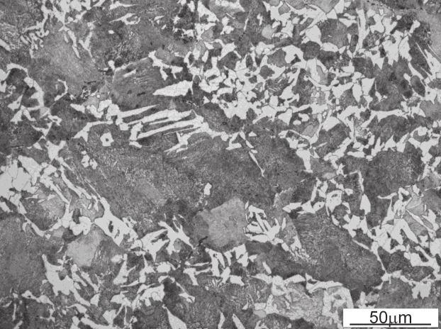 Rys. 1. Mikrostruktura stali 37MnCo6-4 po kuciu; trawiono 3% nitalem Fig. 1. Microstructure of 37MnCo6-4 steel after reforging; etched with 3% nital Rys. 3. Mikrostruktura stali 37MnCo6-4 po wyżarzaniu zupełnym; trawiono 3% nitalem Fig.