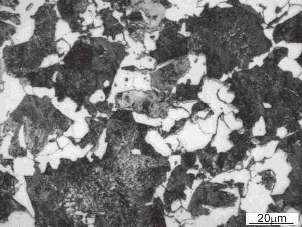 Microstructure of 37MnCo6-4