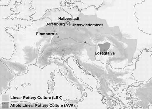Haplotypy N1a Najstarsze osadnictwo w Europie Haplotypy kopalne nie tworzą kladu, ale grupują się ze