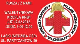 BUDŻETOWE