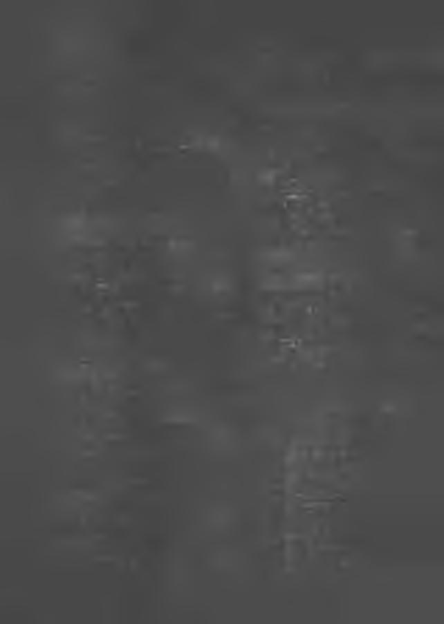 T ylm an S ta n isła w 30 Okręg wyborczy nr 14 a) osób upraw nionych do głosow an ia 243 b) od d an ych głosów 102 c) g łosów niew ażn ych 1 d) g łosów w ażnych 101 e) głosów bez d ok on an ia w