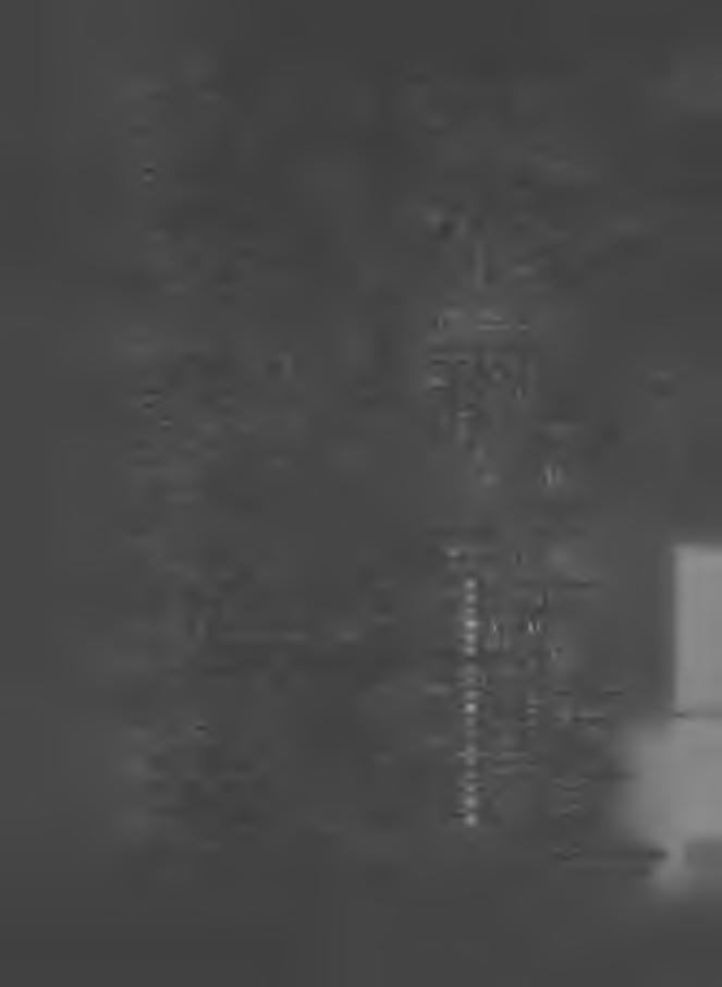 S trzeleck i M arian 21 a) osób upraw nionych do głosow an ia 209 b) od d an ych głosów 95 c) głosów niew ażnych 2 d ) głosów w ażnych 93 e) głosów bez dokonania w yboru 2 f) poszczególni kandydaci