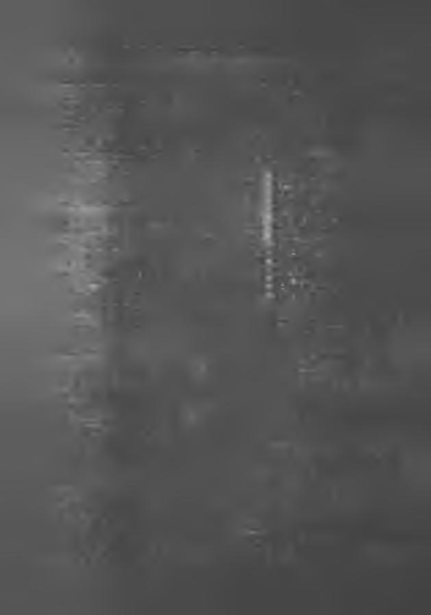 T ruchan W iesła w O kręg wyborczy nr 13 a) osób u p raw n ion ych do głosow an ia 102 b) od d an ych głosów 79 c) głosów n iew ażn ych 1 d ) głosów w ażn ych 78 e) głosów b ez dok on an ia w yb oru