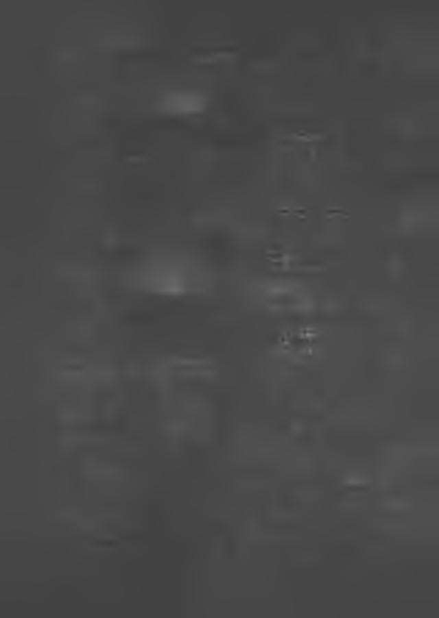 D a n ieluk Jerzy 285 4 40 43 8 L ista nr 8 51 Lista nr 3 334 B E Z P A R T Y J N Y R Z E M IE ŚL N IC Z Y K O M IT E T W Y B O R C Z Y K O M IT E T W Y B O R C Z Y R O D Z IN A FO R U M P R A W IC Y