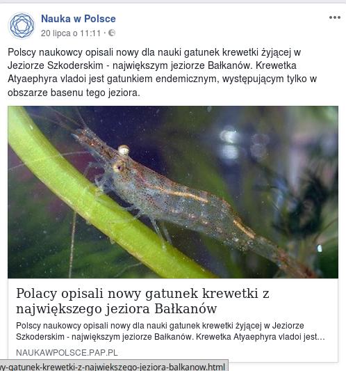 https://www.facebook.com/naukawpolsce/posts/1832898566757138?