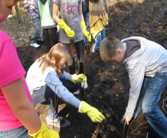 We wrześniu 2012 roku na pierwszym spotkaniu z rodzicami uczniów naszej szkoły przeprowadzono przez radiowęzeł pogadankę pt.