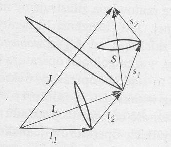 Dla dwóch elektronów w sprzężenu LS, l 1 l 2 tworzą wypadkowy wektor L Wyobrażając to klasyczne zachodz szybka precesja składowych wektorów wokół L, podobne s 1 s 2 wykonują szybką precesję wokół S.