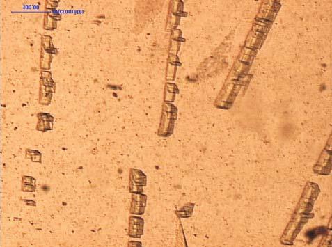 159 Fot. 4. Fragmenty dobrze zachowanego szkliwa z fazami krzemianowymi, pow. 100, 1N (fot. I. Jonczy) Phot. 4. Pieces of not transformed glaze with silicate phases Fot. 5.