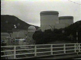 entire Japanese nuclear power