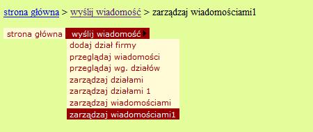 Wówczas w przeglądarce pojawia się