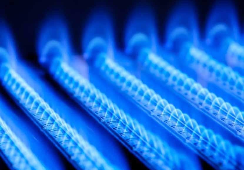 Gaz ziemny Dostarczamy gaz ziemny od początków naszej działalności. 20-letnie doświadczenie sprawiło, że jesteśmy liderem na rynku gazu ziemnego wśród niezależnych sprzedawców.