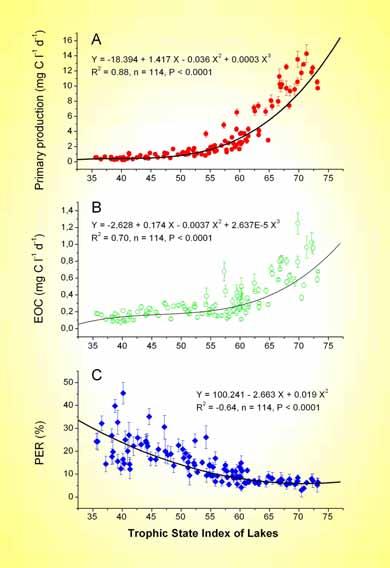 Produkcja pierwotna Tempo produkcji pierwotnej fitoplanktonu (A) oraz wydzielania pozakomórkowego DOC (B) rosną wykładniczo wraz ze wzrostem stanu