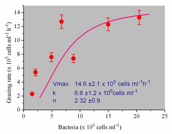 Tempo konsumpcji bakterii przez Protozoa MODEL HILLA x n y = V max kn + x n y tempo konsumpcji bakterii x - liczba