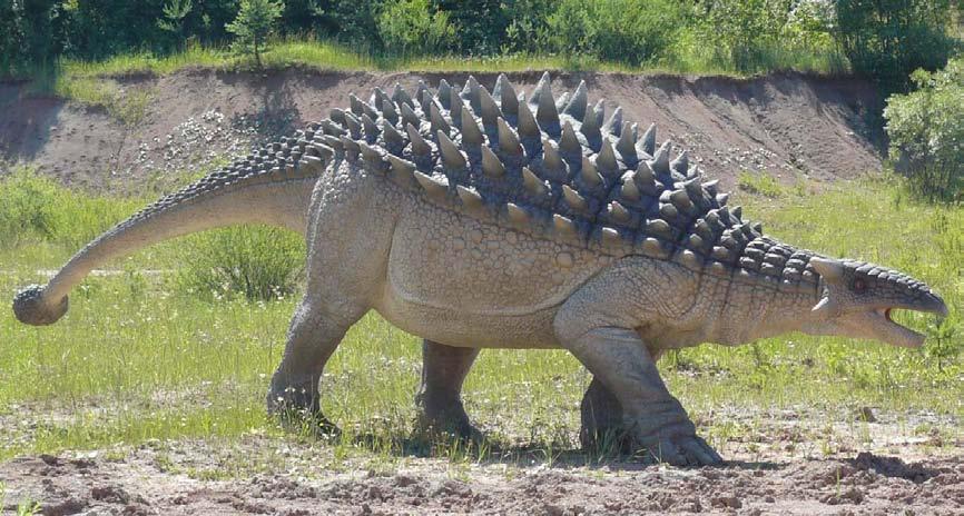 Ankylosaurus waga ok.