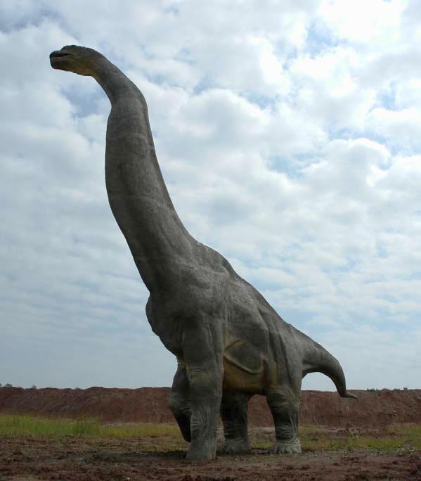 Brachiosaurus waga ok.