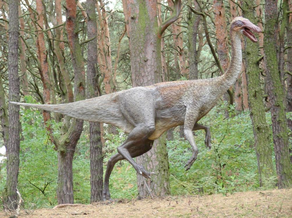 Gallimimus waga ok.