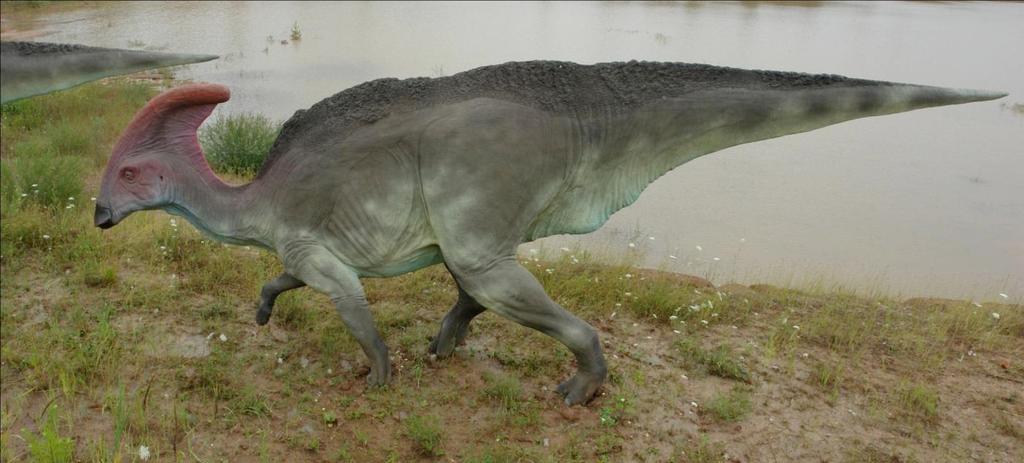 Parasaurolophus waga ok.