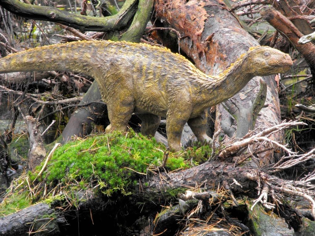 Pisanosaurus waga ok.