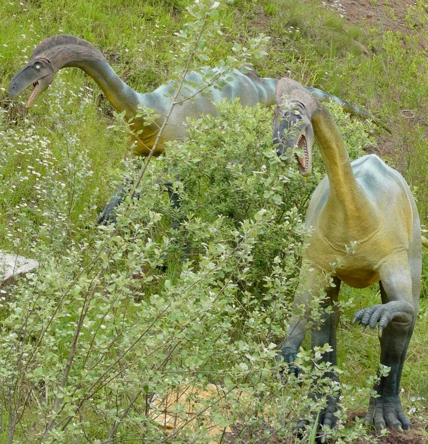 Plateosaurus waga ok.