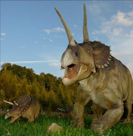 Triceratops (adult) waga ok.