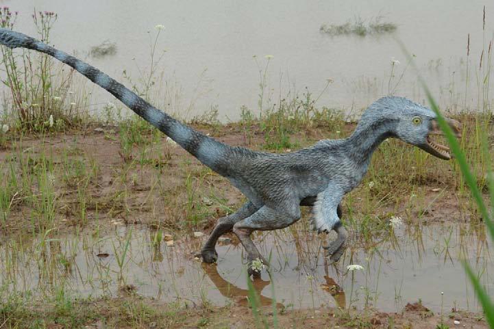 Velociraptor waga ok.