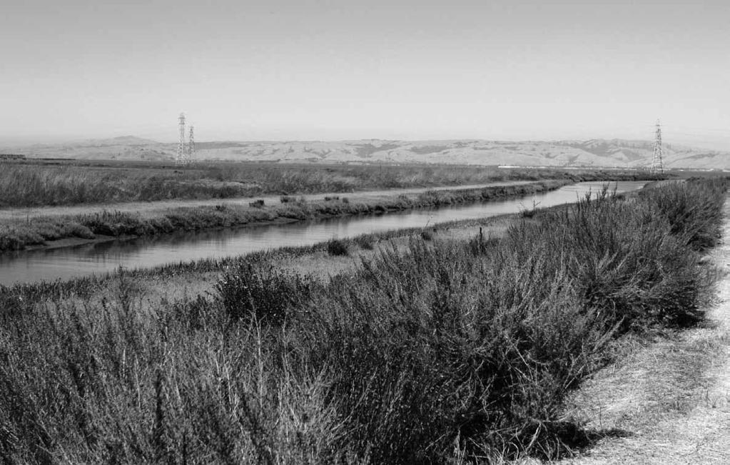 W hen flood-control officials finally break ground next year on a long-awaited effort to calm the flood-prone San Francisquito Creek, it won t be just the human residents around the creek whom they