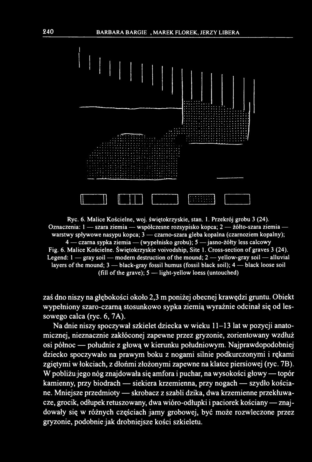 grobu); 5 jasno-żółty less calcowy Fig. 6. Malice Kościelne. Świętokrzyskie voivodship, Site 1. Cross-section of graves 3 (24).
